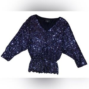 Vici Sequence Blue Long Sleeve V Neck Blouse Top Size Small